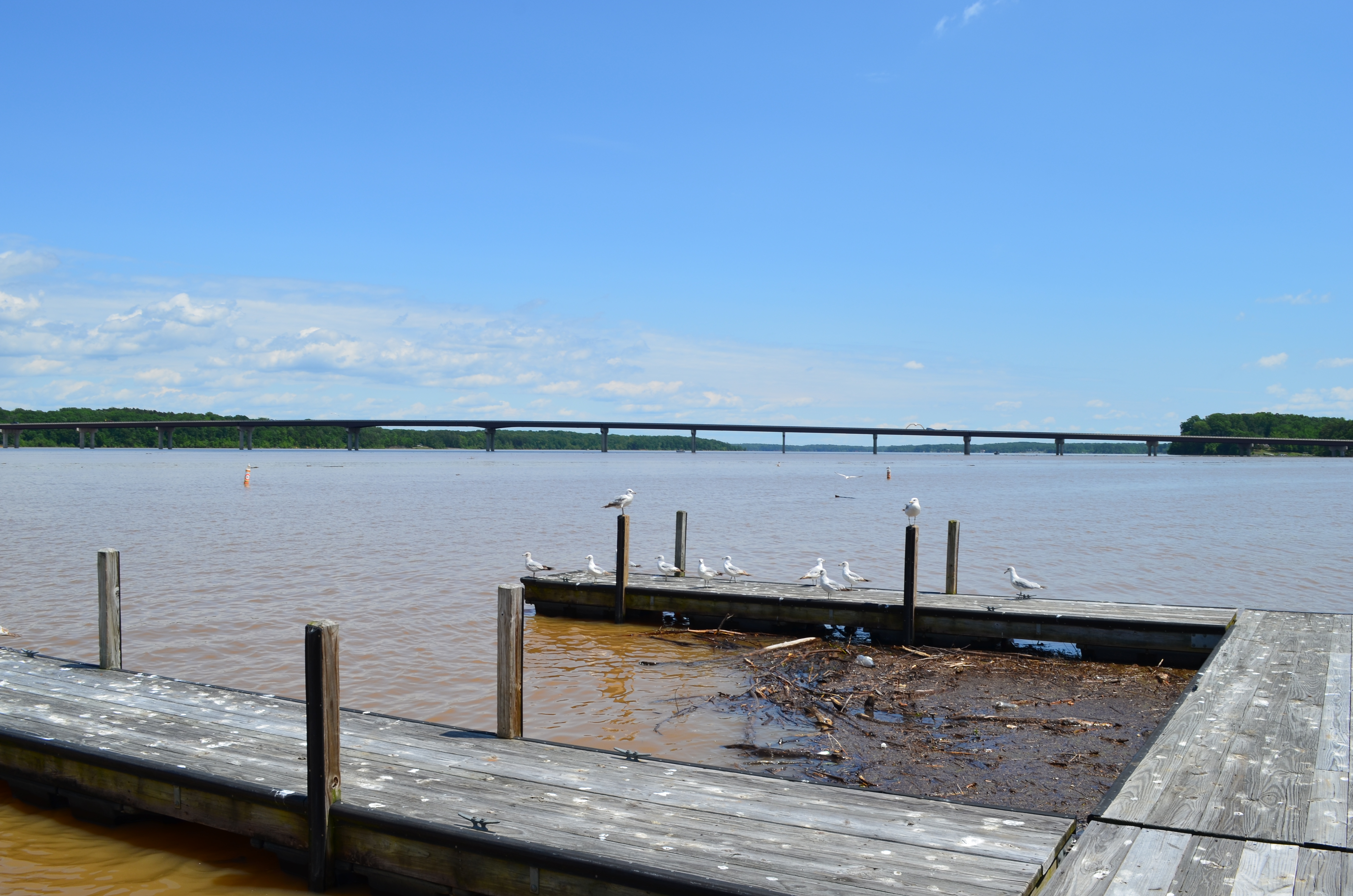 ./2016/09 - Kerr Lake/DSC_0880.JPG